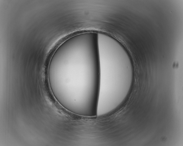 X0000111220676200907021001