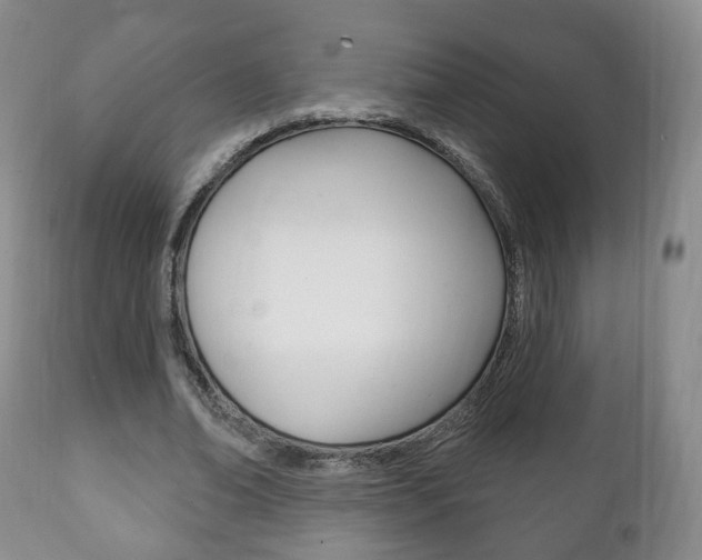 X0000111220678200907021001
