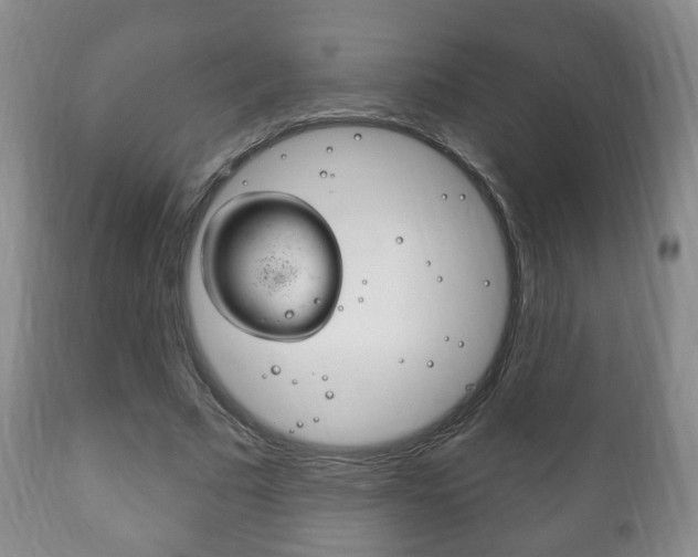 X0000111220681200907021001