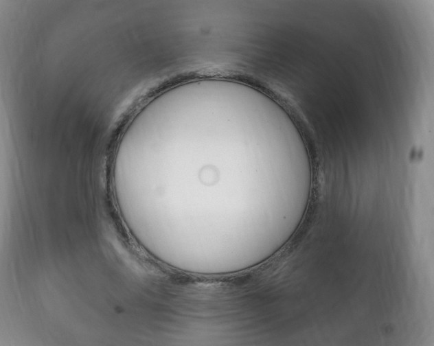 X0000111220686200907021000