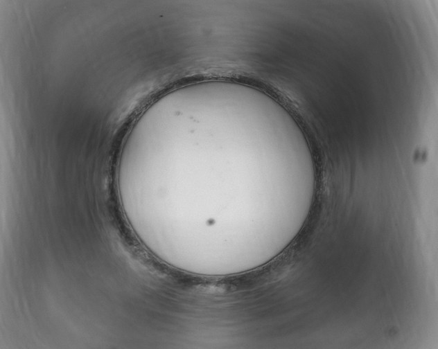X0000111220687200907021000