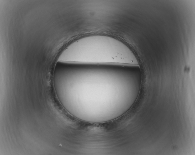 X0000111220689200907021000