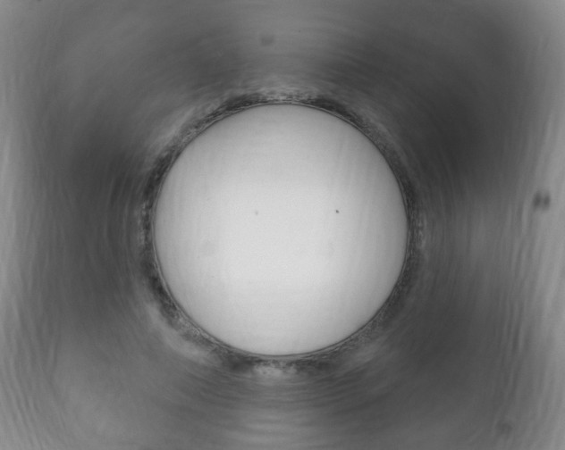 X0000111220690200907021000