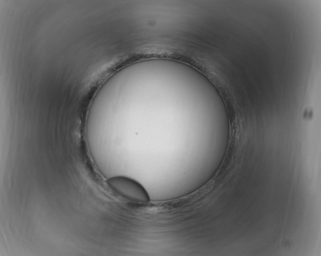 X0000111220692200907021000