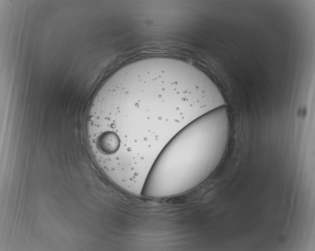 X0000111220697200907021000