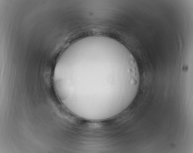 X0000111220698200907021000