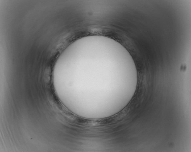 X0000111220702200907021000
