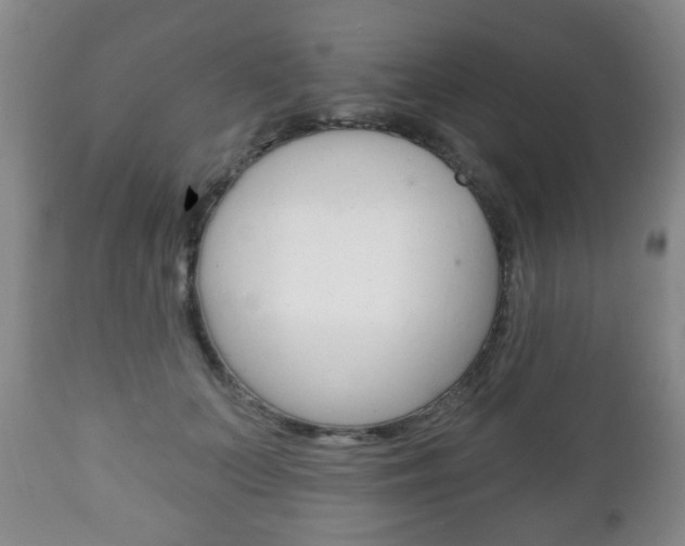 X0000111220703200907021000