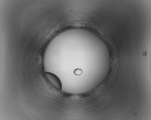 X0000111220704200907021000