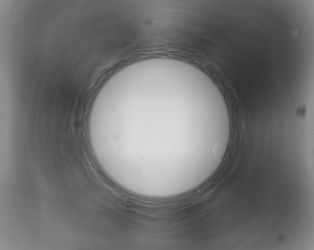 X0000111220705200907021000