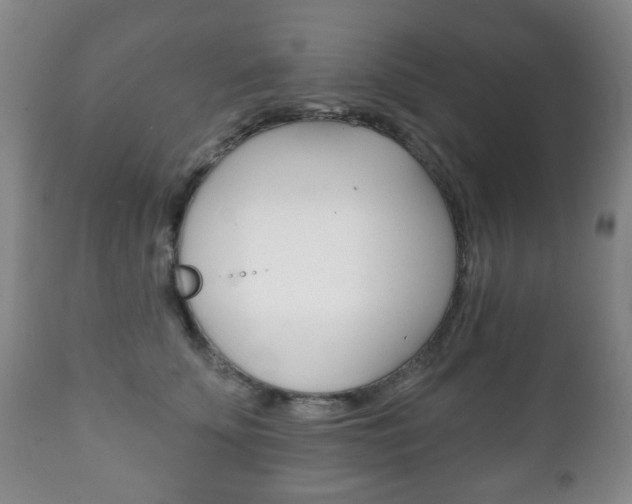 X0000111220707200907021000