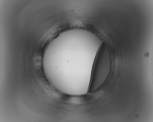 X0000111220708200907021000