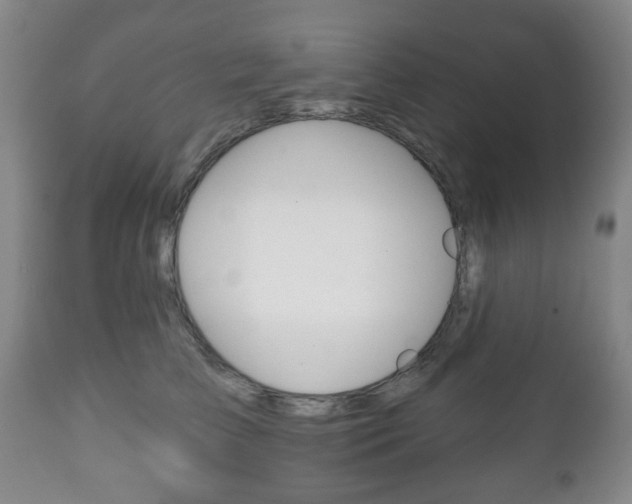 X0000111220709200907021000