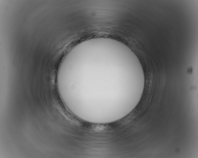 X0000111220710200907021000