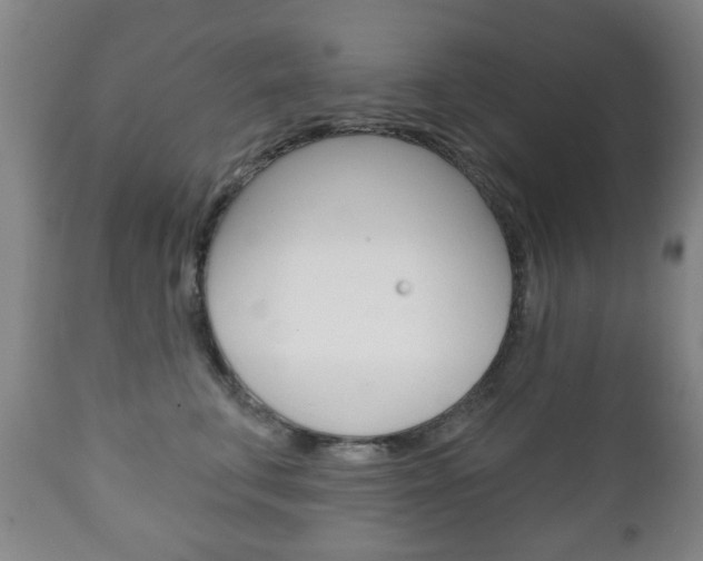 X0000111220711200907021000