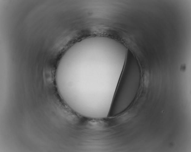 X0000111220712200907021000