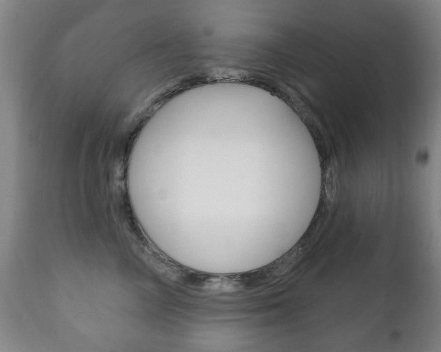 X0000111220714200907021000