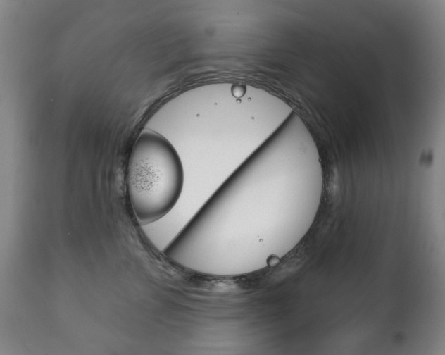 X0000111220715200907021000