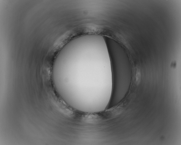 X0000111220716200907021000