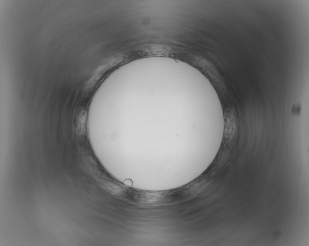 X0000111220717200907021000