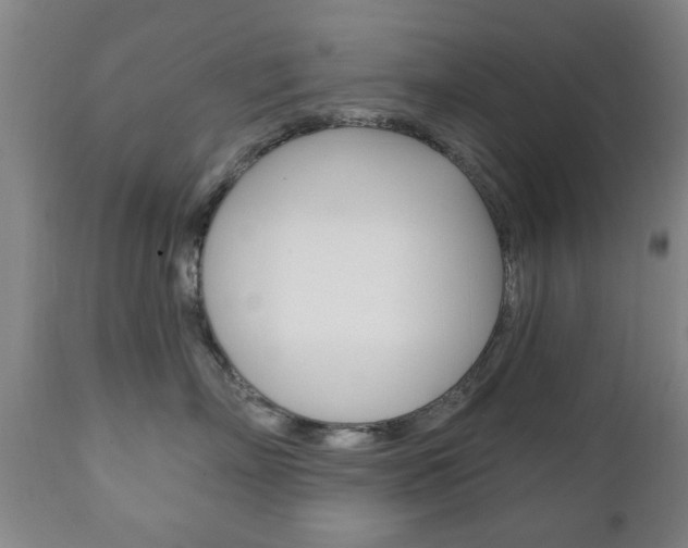 X0000111220718200907021000