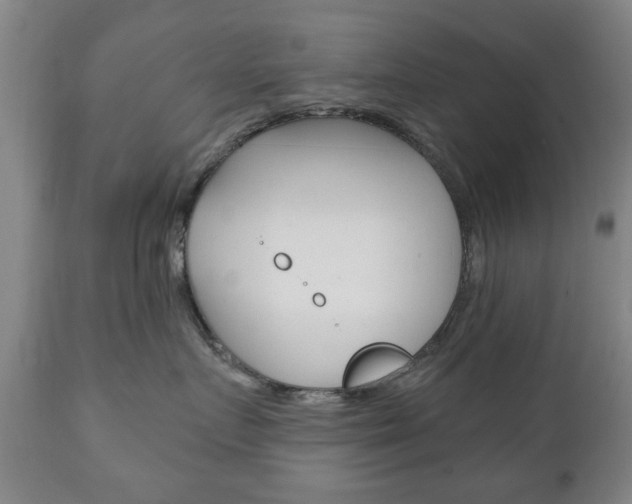 X0000111220719200907021000