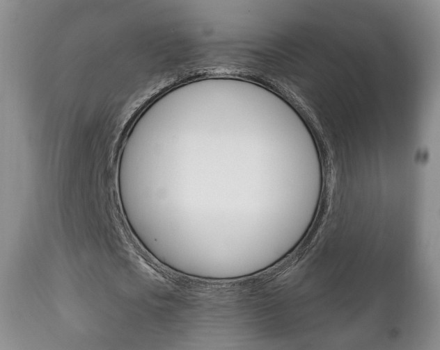 X0000111220721200907020959