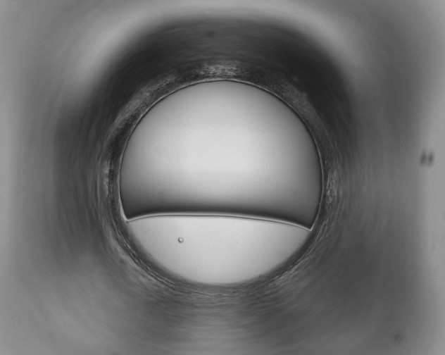 X0000111220722200907020959