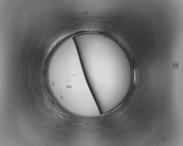 X0000111220723200907020959