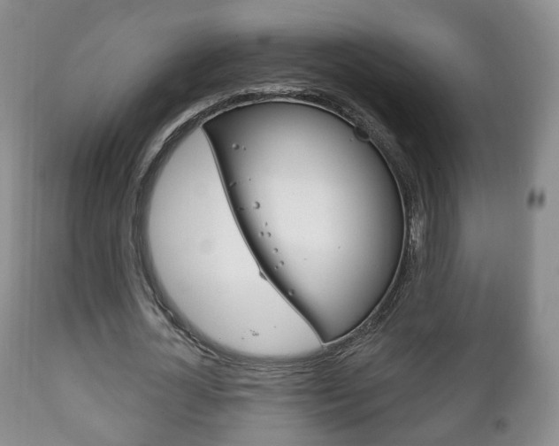 X0000111220724200907020959