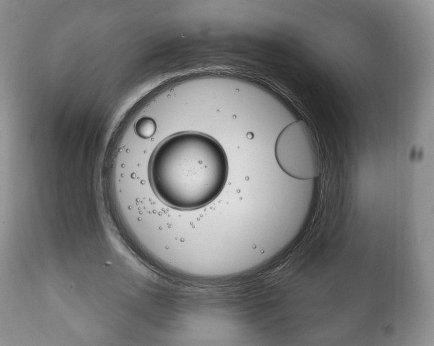 X0000111220726200907020959