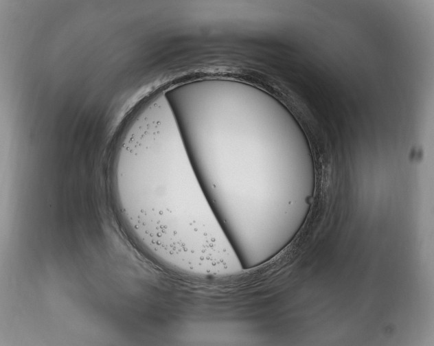 X0000111220727200907020959