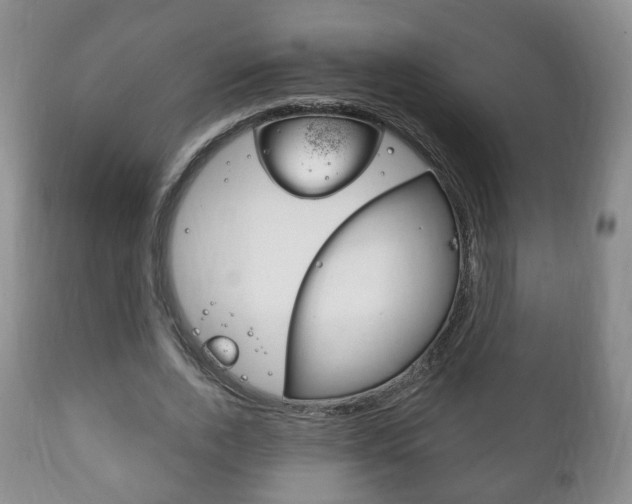 X0000111220728200907020959