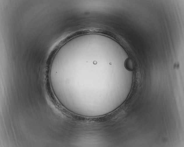 X0000111220730200907020959