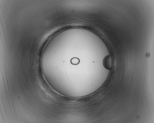X0000111220732200907020959