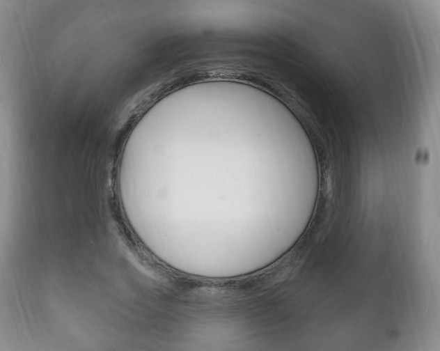 X0000111220733200907020959