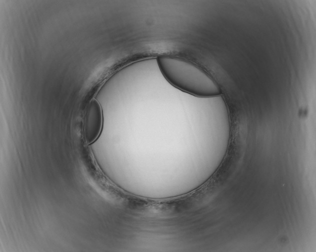 X0000111220736200907021000