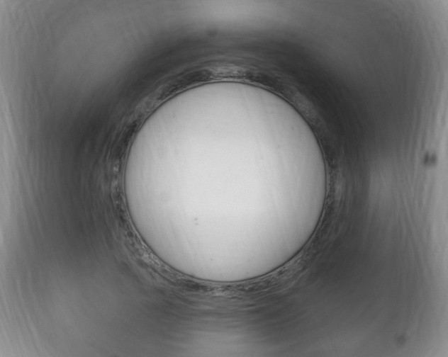 X0000111220737200907021000