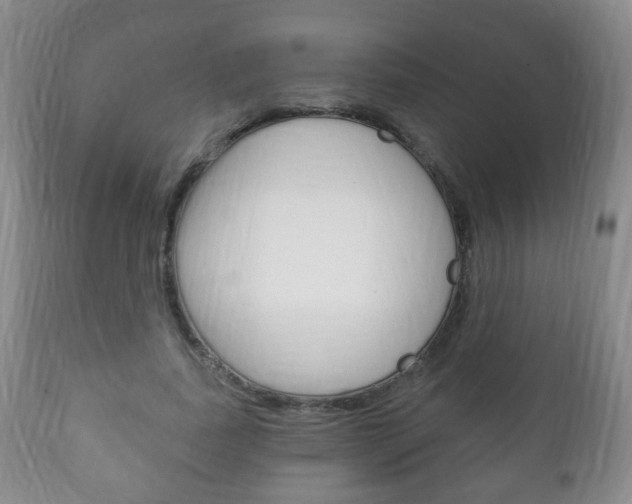 X0000111220739200907021000