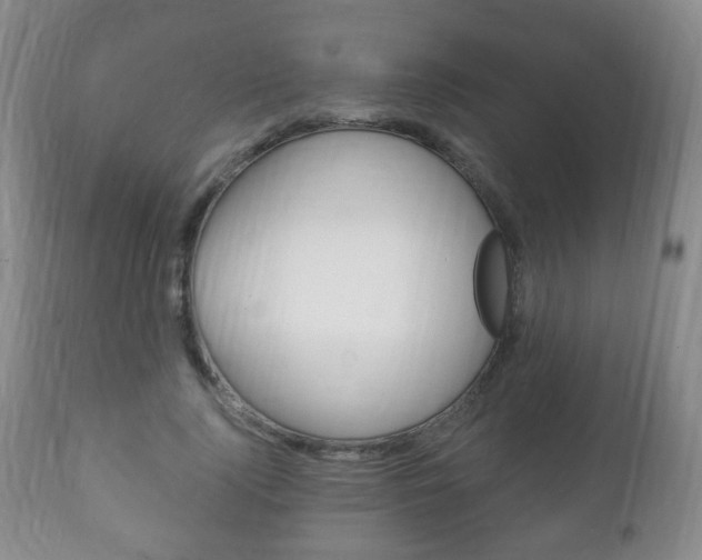 X0000111220740200907021000