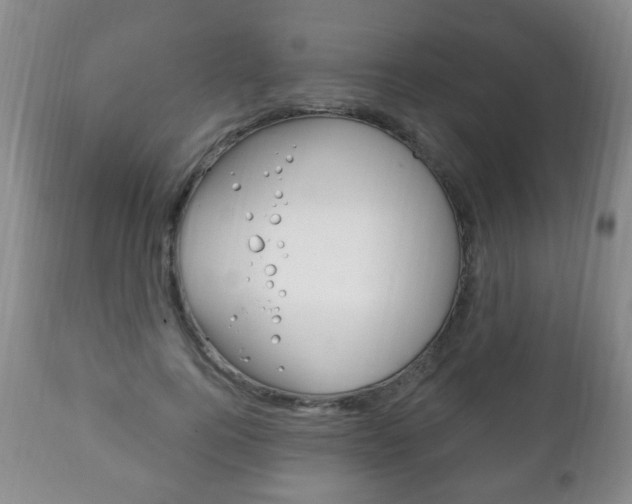X0000111220744200907021000