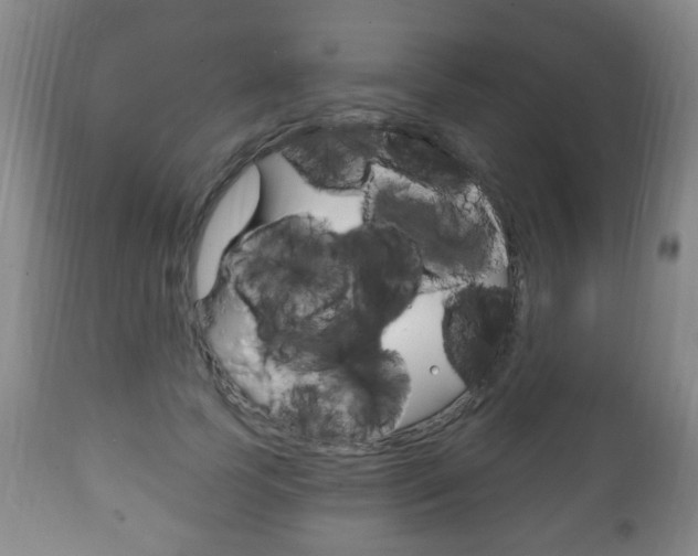 X0000111220745200907021000