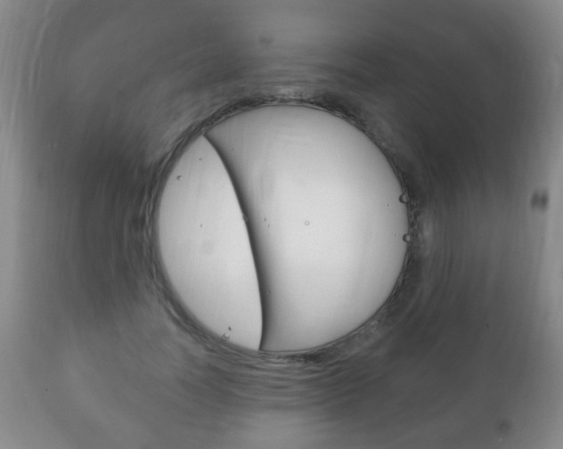 X0000111220746200907021000