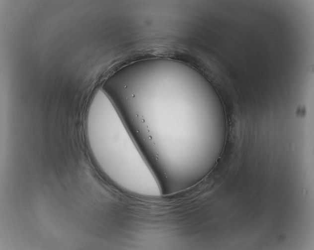X0000111220748200907021000