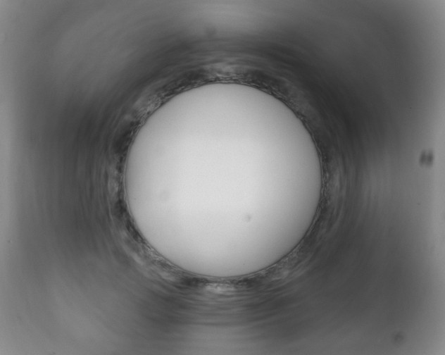 X0000111220749200907021000