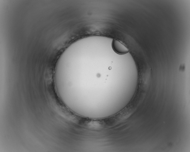 X0000111220751200907021000