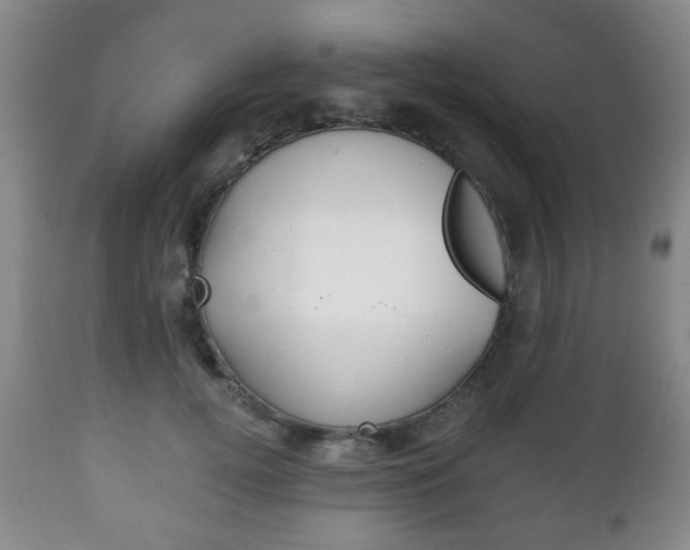 X0000111220752200907021000