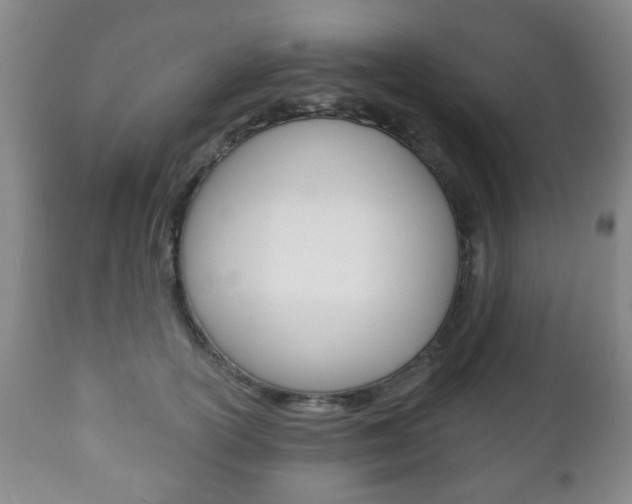 X0000111220754200907021000