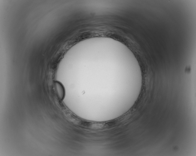 X0000111220757200907021000
