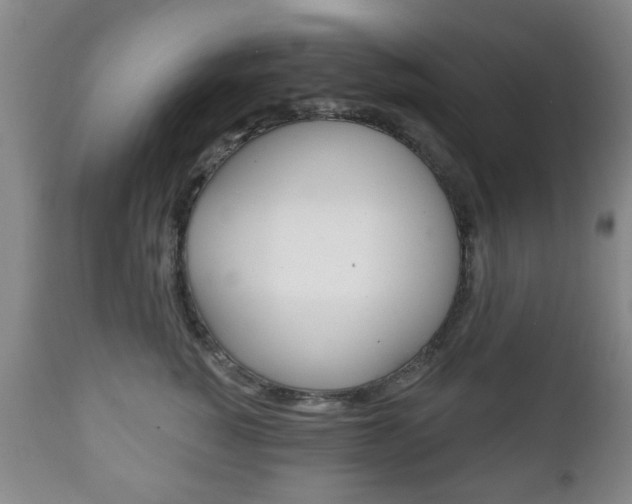 X0000111220760200907021000